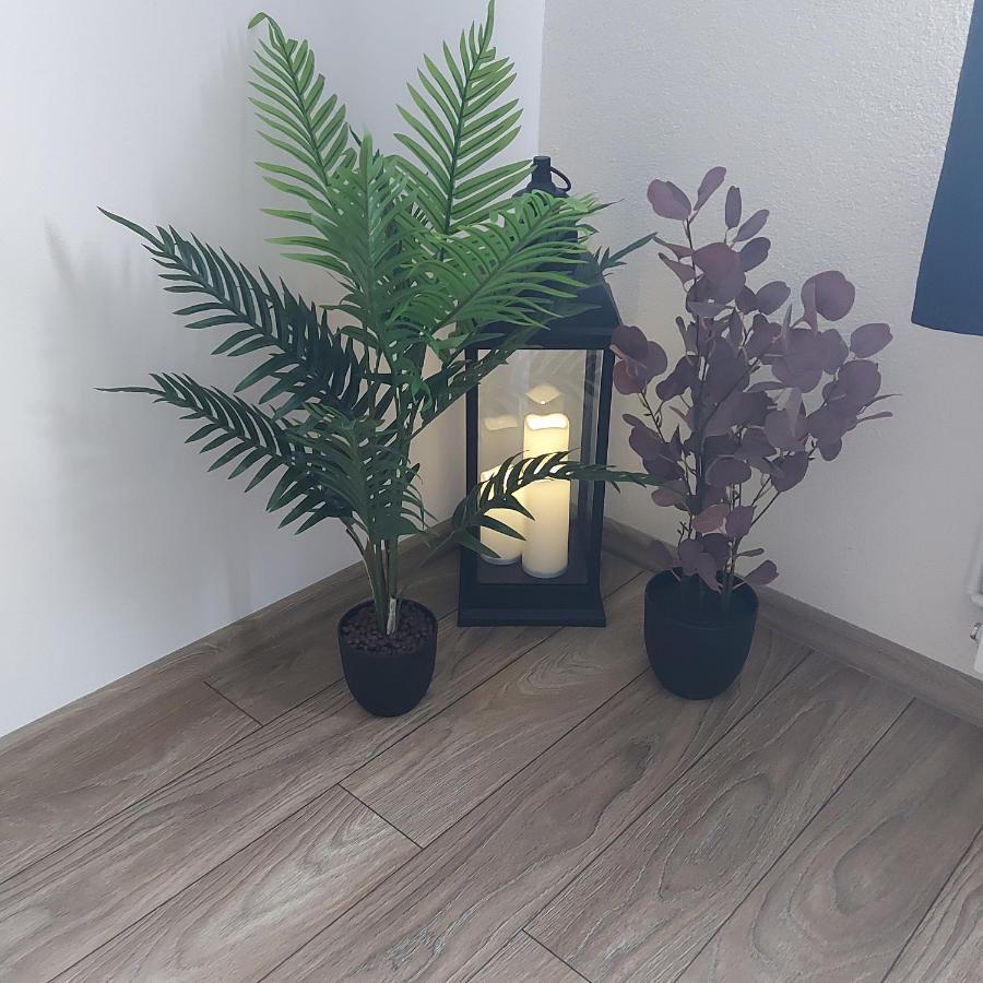 Apartament Antonias Фэгэраш Экстерьер фото